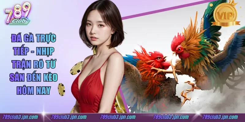 Đá Gà Trực Tiếp - Nhịp Trận Rõ Từ Sân Đến Kèo Hôm Nay